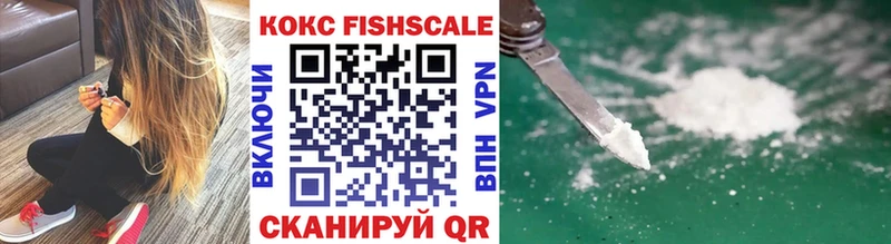 Кокаин Fish Scale  Купить  Кяхта 