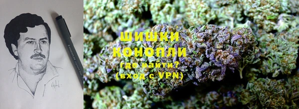 прущие крисы Куйбышев