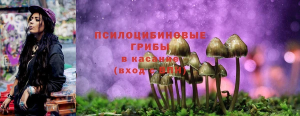 СК Кулебаки