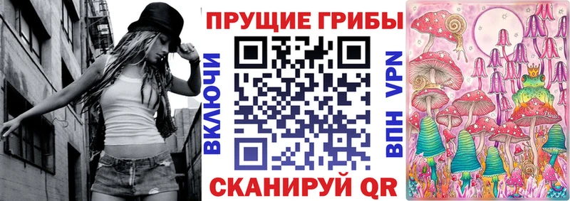 Псилоцибиновые грибы Cubensis  Купить закладки  Кяхта 