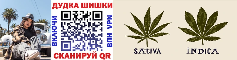 Купить где  Кяхта  МАРИХУАНА ГИДРОПОН 